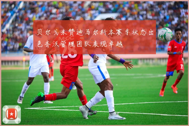 贝尔戈米赞迪马尔科本赛季状态出色齐沃管理团队表现卓越