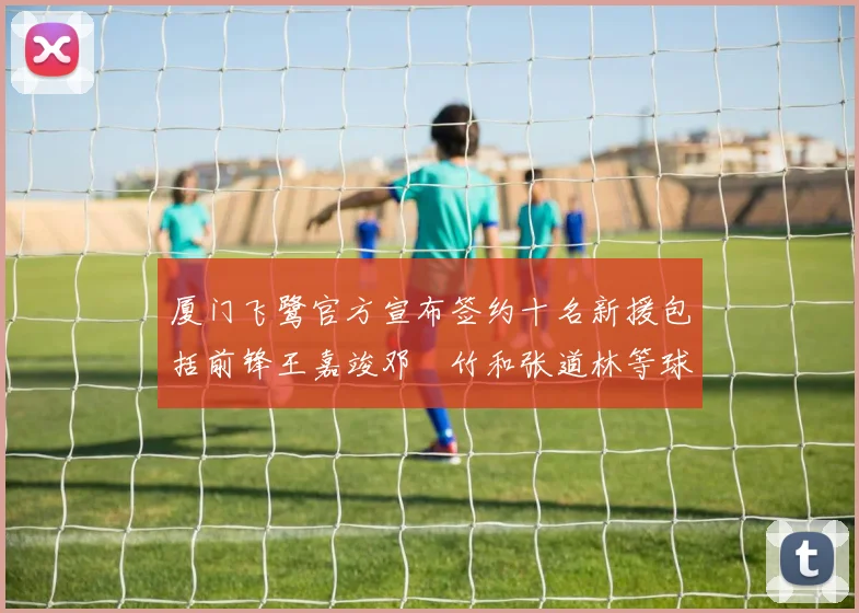 厦门飞鹭官方宣布签约十名新援包括前锋王嘉竣邓棽竹和张道林等球员